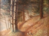 GW Ferguson Forest Scene